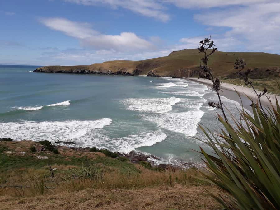 Dunedin: Otago Peninsula with Guided Penguin Reserve Tour - Dunedin Railway Station and the city’s grand face