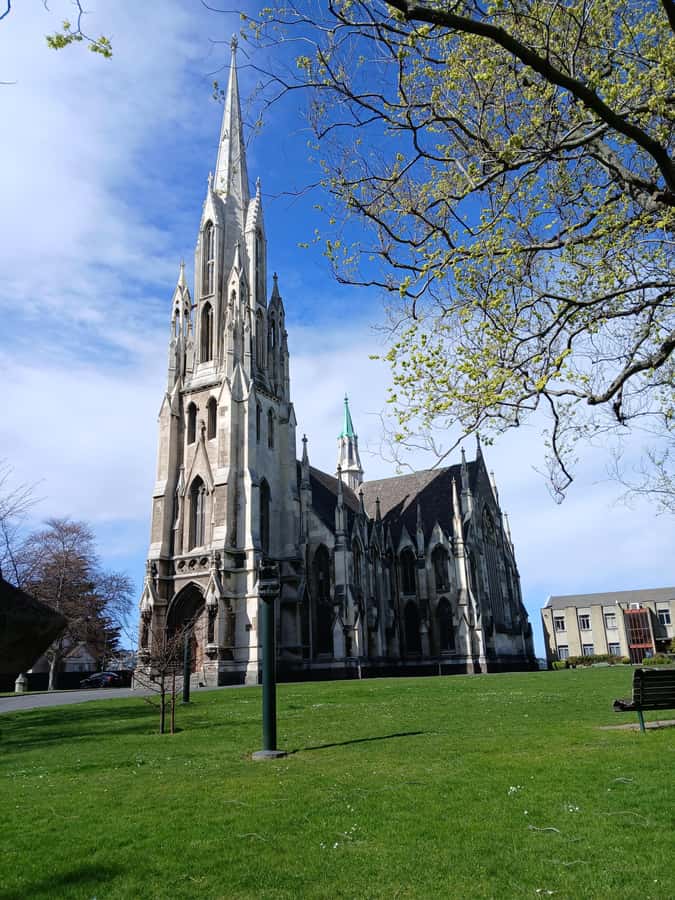 Dunedin: Peninsula with Lanarch Castle gardens & Olveston - Highcliff Road and the Otago Peninsula