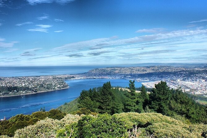 Dunedin Private Fullday Tour - St Clair Beach changes the mood