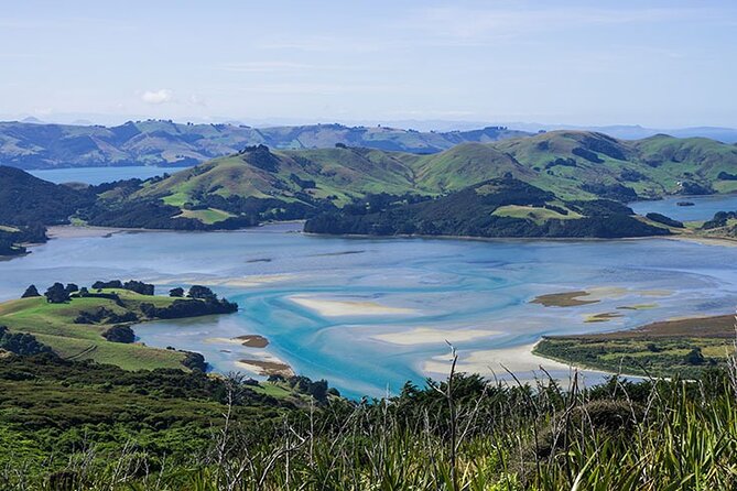Dunedin Shore Excursion City Sightseeing & Tour of Larnach Castle - Central Dunedin gives you a useful pause