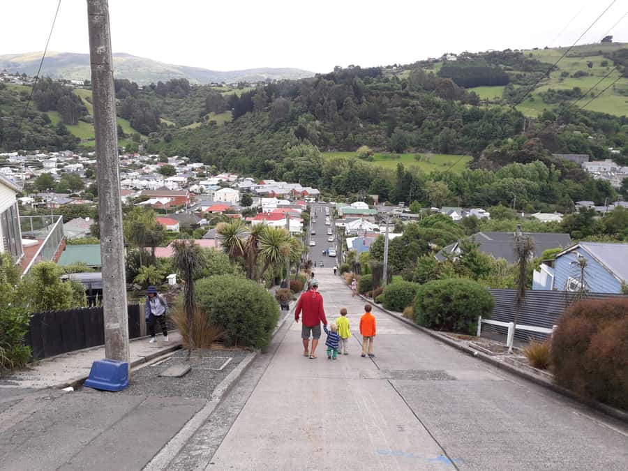 Dunedin: Small Group City Highlights Tour - A quick orientation from Dunedin’s Octagon