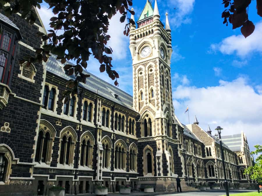 Dunedin: Small Group City Highlights Tour - Signal Hill for a wider view of Dunedin