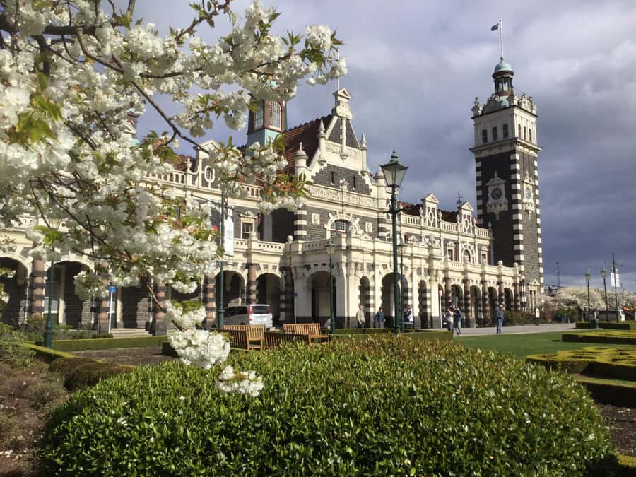 Dunedin: Small Group City Highlights Tour - Dunedin Railway Station, the city’s grand showpiece