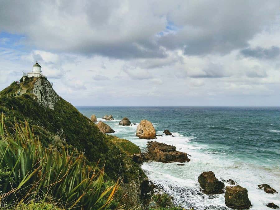 Dunedin to Te Anau via The Catlins & Invercargill 1 Way Tour - Why this Dunedin to Te Anau route is worth your day