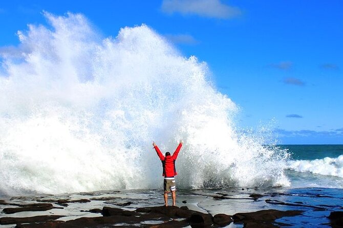 Dunedin to Te Anau via the Catlins One Way Small Group Tour - Key points to know before booking