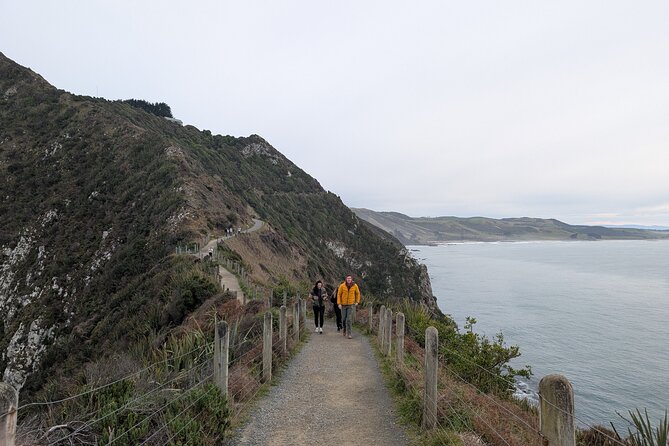 Dunedin to Te Anau via the Catlins One Way Small Group Tour - Curio Bay and the 180-million-year-old forest