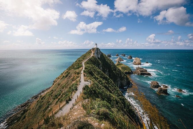 Dunedin to Te Anau via the Catlins One Way Small Group Tour - Price, comfort, and what you get for $179.97