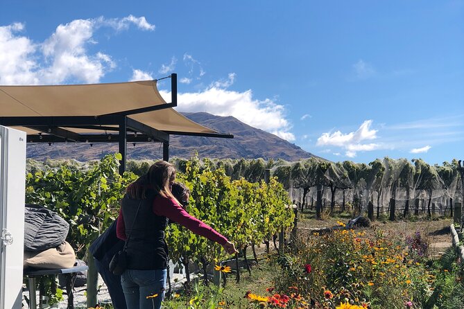 ebike tour lake Dunstan wine tasting - A self-guided format with real support