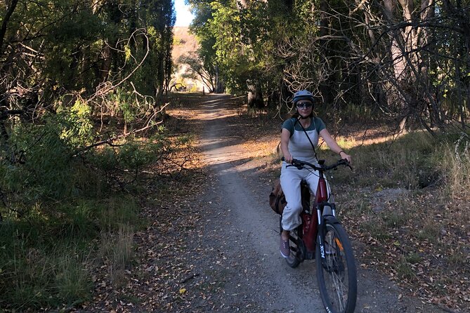 ebike tour lake Dunstan wine tasting - Who should book this ride