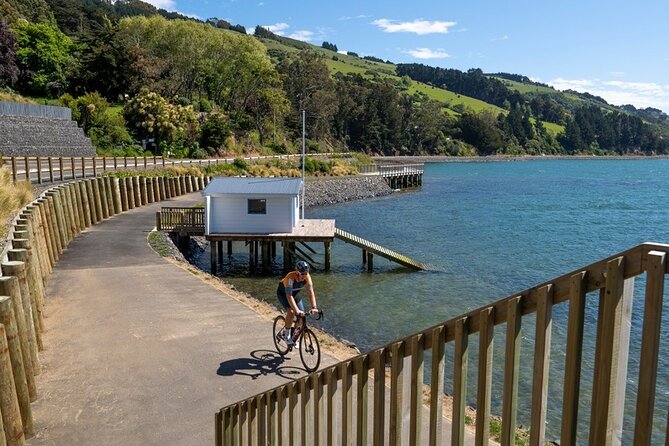 Electric Bike Rental - Choosing the harbor loop direction