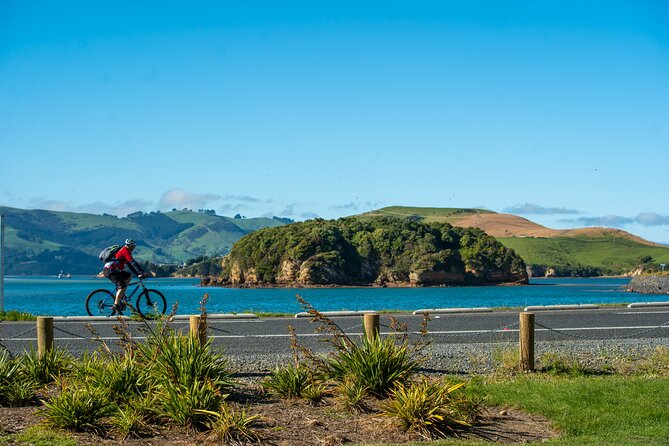 Electric Bike Rental - Why the High Ridge is worth the effort