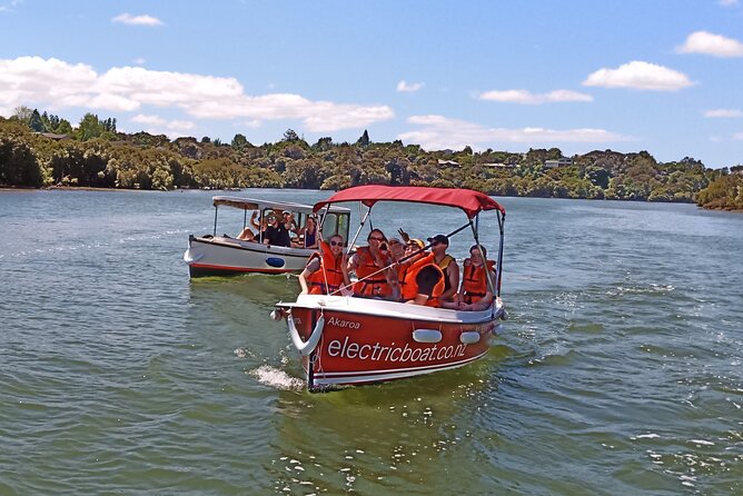 Electric Boats to explore Kerikeri river - Who should book this Kerikeri boat trip?