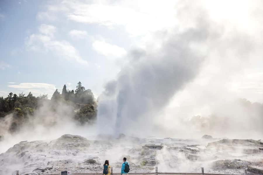 Ex Auckland: TE PUIA Geothermal, Redwood & Blue Springs - The early Auckland departure sets the tone