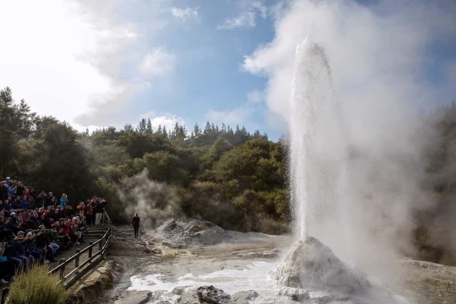 Ex Auckland: TRIPLE DEAL Wai-O-Tapu, Redwood & Blue Springs - Why this Auckland day trip packs so much in