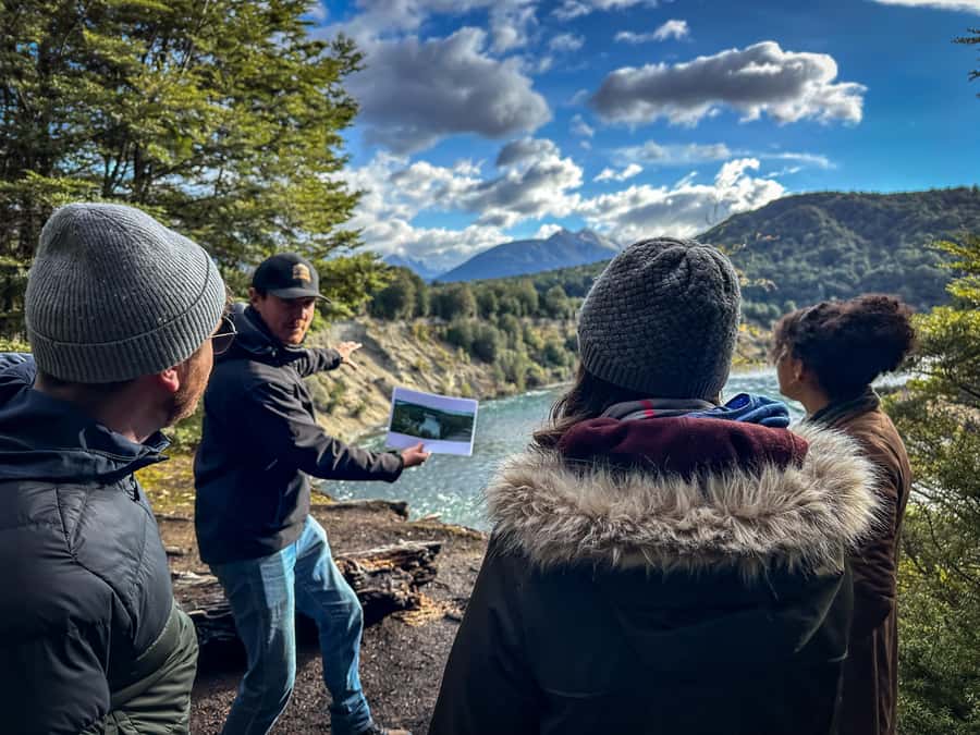 Ex Queenstown: Mavora Lakes Middle Earth Full Day Adventure - Mavora Lakes and the Fangorn Forest setting