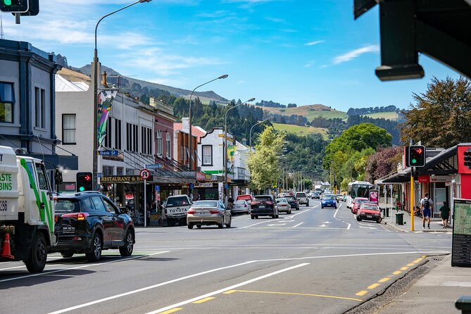 Explore Dunedin: Self-Guided Audio Tour Adventure - Key points before you set out