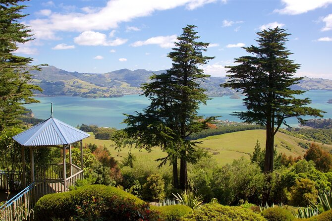 Explore Dunedin: Self-Guided Audio Tour Adventure - What the $13.99 price really buys you