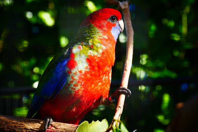 Explore gardens & galleries filled with incredible art, Matakana - A good outing for mixed-interest groups