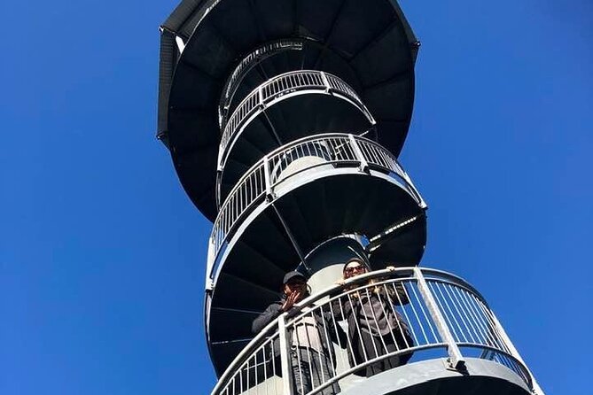 Explore Hokitika Gorge and Tree Top Walkway - What the guide adds to the outing