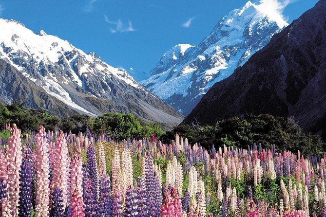 Explore Mount Cook from Christchurch - Lake Tekapo and the Church of the Good Shepherd