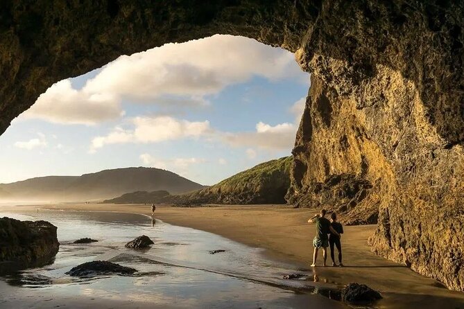 Explore West Auckland with Winery - Key points to know