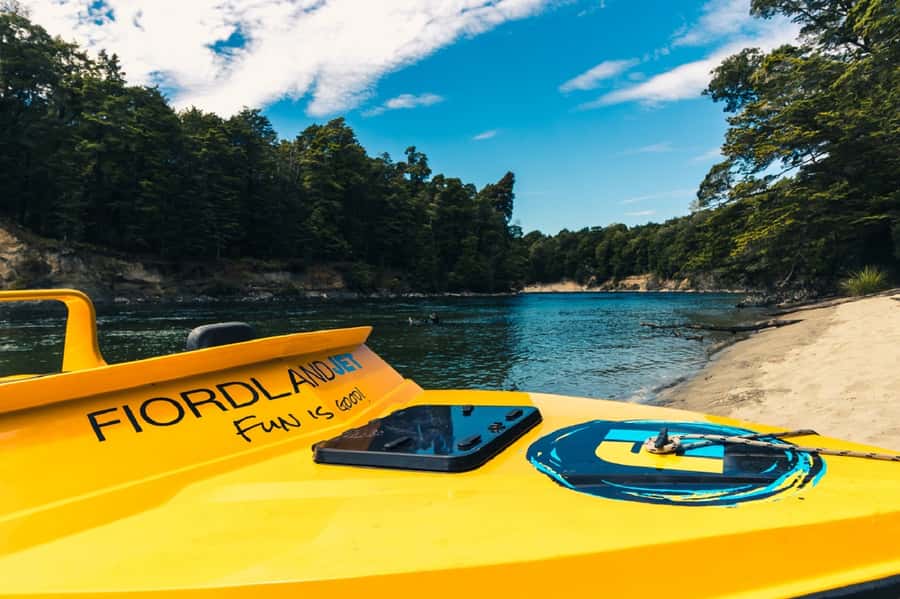 Fiordland: Jet Boat & Nature Walk Experience from Te Anau - What $116 buys you in practical terms