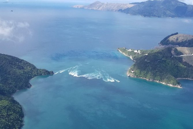 Flight Experience our Water and Wilderness Scenic Tour - From Picton pickup to the Koromiko airfield