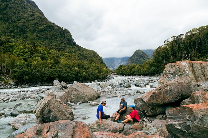 Fox Glacier Nature Tour - Seeing the glacier from a safe distance