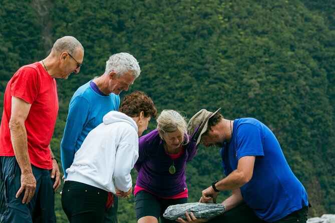 Fox Glacier Nature Tour - Walking through Fox Glacier’s rainforest