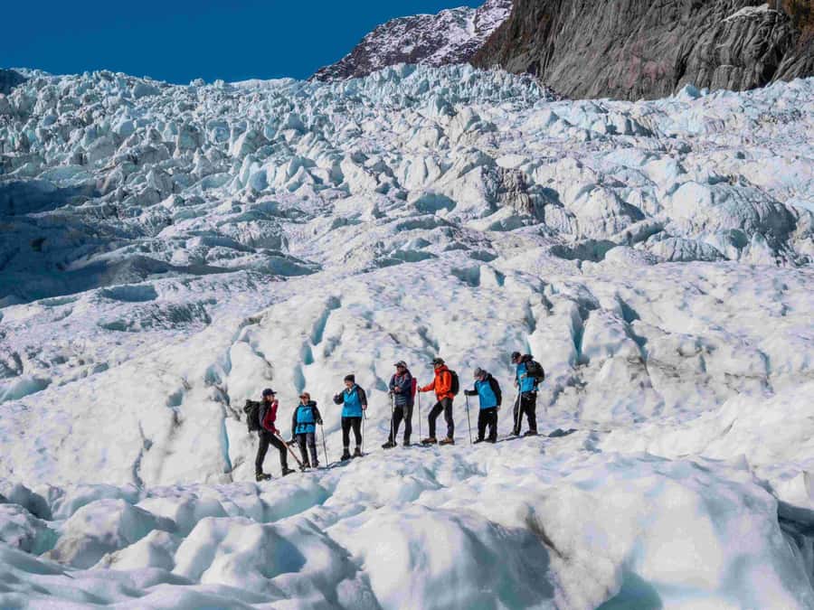 Fox Glacier: Up to 3 Hours Hike with Helicopter Transfer - Starting at 44 Main Road in Fox Glacier