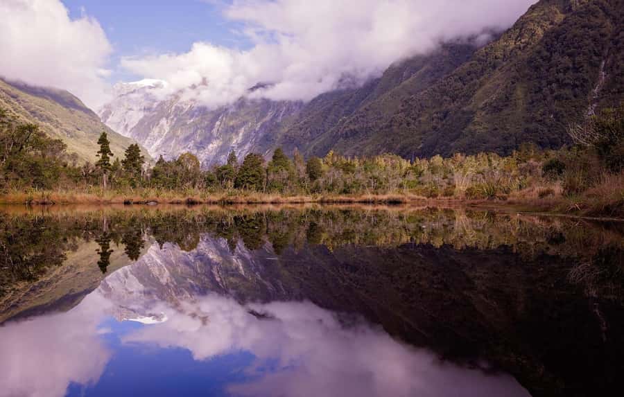 Franz Josef: Franz Josef Glacier Lookout Guided Walk - Walking through podocarp forest