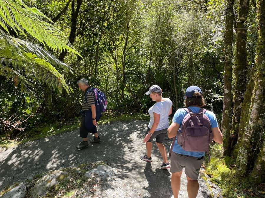 Franz Josef: Franz Josef Glacier Lookout Guided Walk - River stones, waterfalls and the optional off-track route