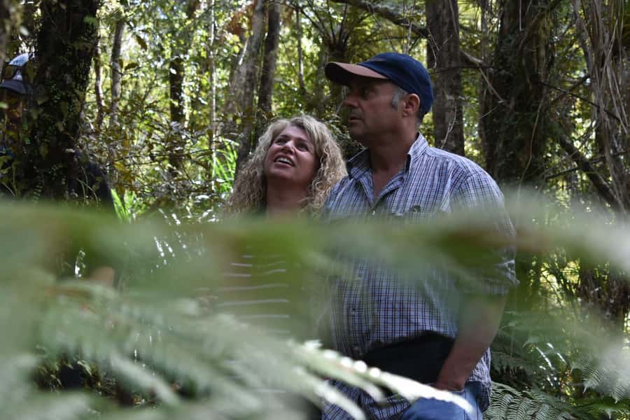 Franz Josef Glacier: 2.5-Hour Lake Mapourika Cruise and Walk - Why Lake Mapourika is worth your time
