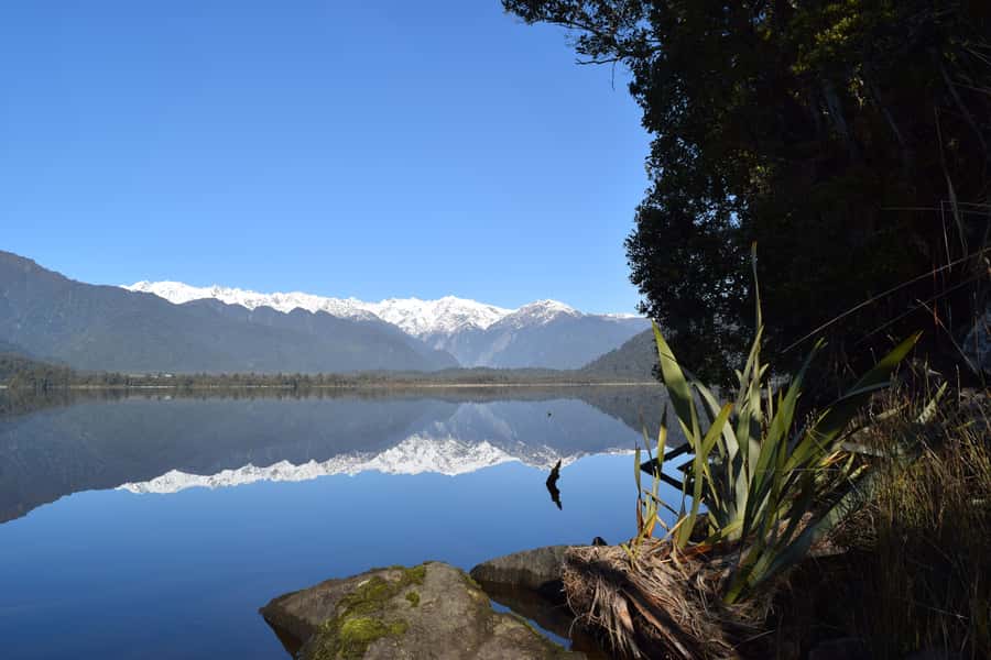Franz Josef Glacier: 2.5-Hour Lake Mapourika Cruise and Walk - Entering the Okarito Kiwi Sanctuary