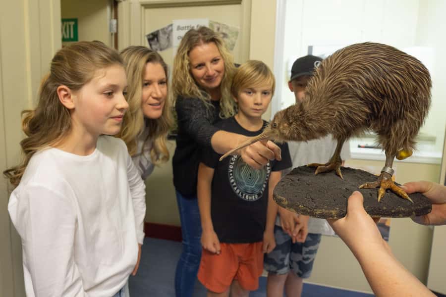 Franz Josef: Kiwi VIP Backstage Pass Tour -Booking Essential - Why this small wildlife centre matters in Franz Josef