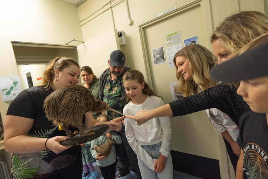 Franz Josef: Kiwi VIP Backstage Pass Tour -Booking Essential - Meeting the ancient tuatara