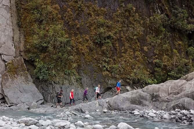 Franz Josef Nature Tour - Key points to know before you book