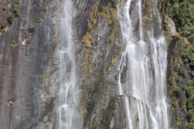 Franz Josef Nature Tour - What the guides add to the morning