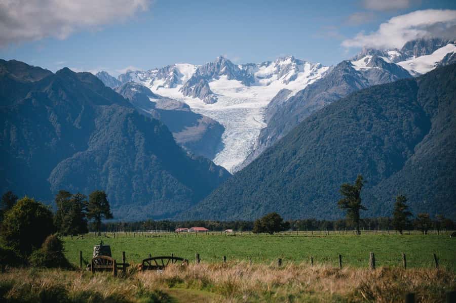 Franz Josef to Queenstown small group tour (One-Way) - Bruce Bay and Ship Creek show the West Coast at its wildest