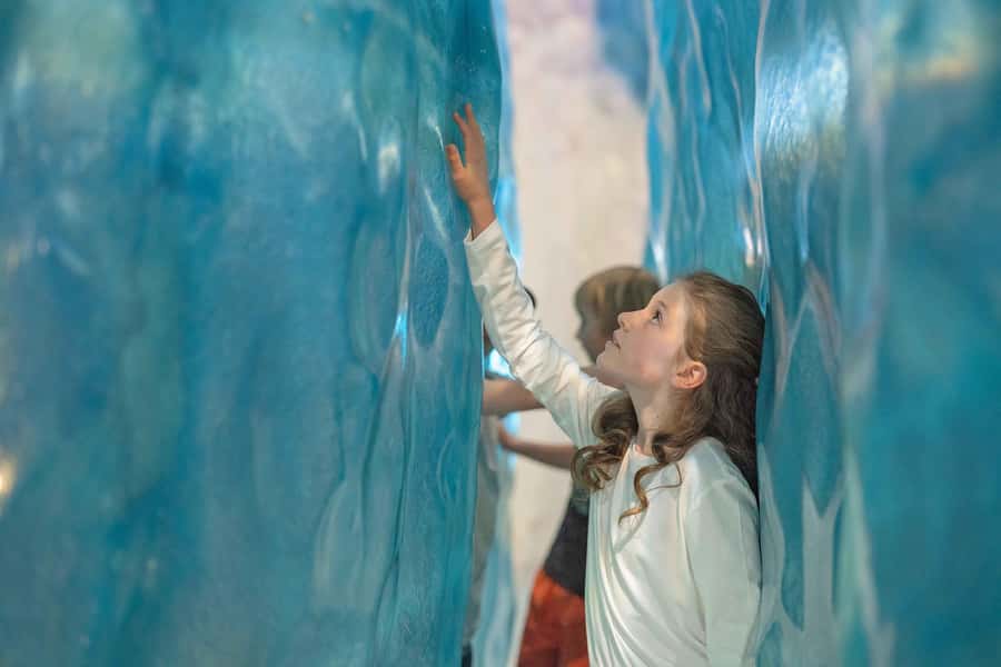 Franz Josef: West Coast Wildlife Centre Entry Ticket -48 hrs - How long should you spend there?