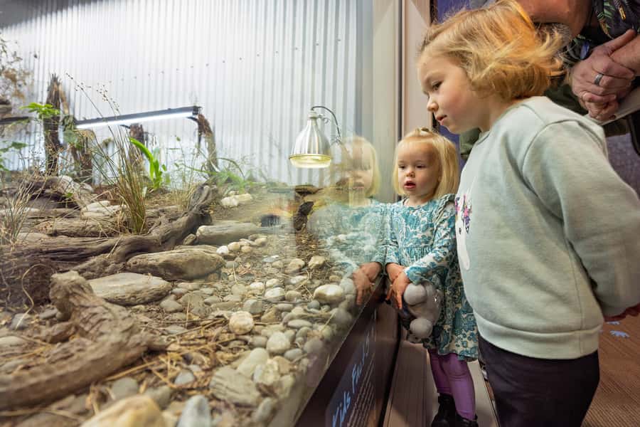 Franz Josef: West Coast Wildlife Centre Entry Ticket -48 hrs - Is the $38 admission good value?