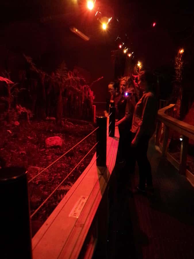 Franz Josef: West Coast Wildlife Centre Entry Ticket -48 hrs - Who will enjoy this most?