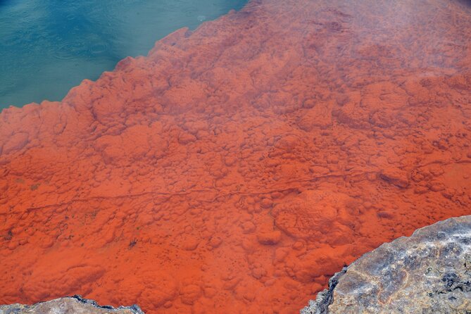 From Auckand: Waiotapu and Polynesian Spa Rotorua Day Tour - Why the Auckland to Rotorua run is worth the long day