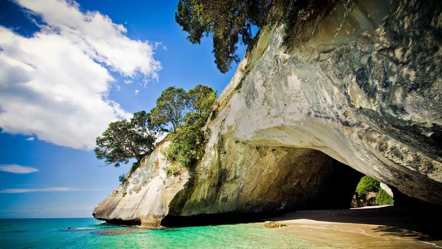 From Auckland: Cathedral Cove & Hot Water Beach Tour - Walking into Cathedral Cove
