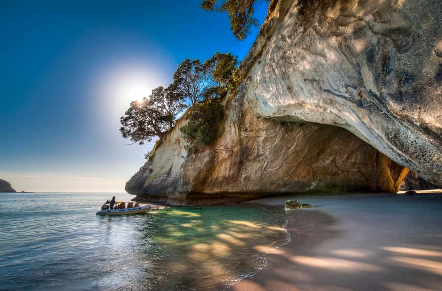 From Auckland: Cathedral Cove & Hot Water Beach Tour - Value, flexibility, and who should book