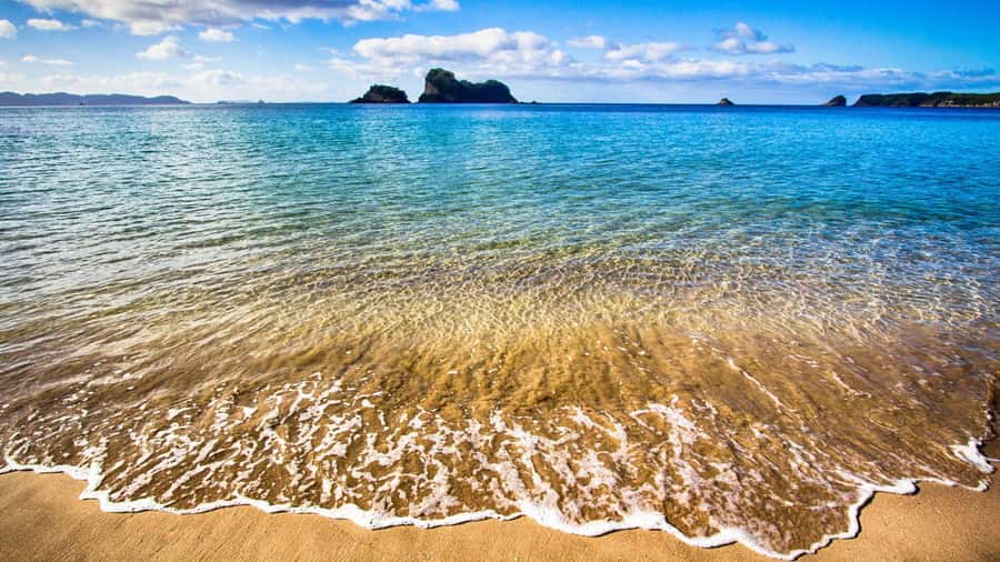 From Auckland: Cathedral Cove & Hot Water Beach Tour - FAQ
