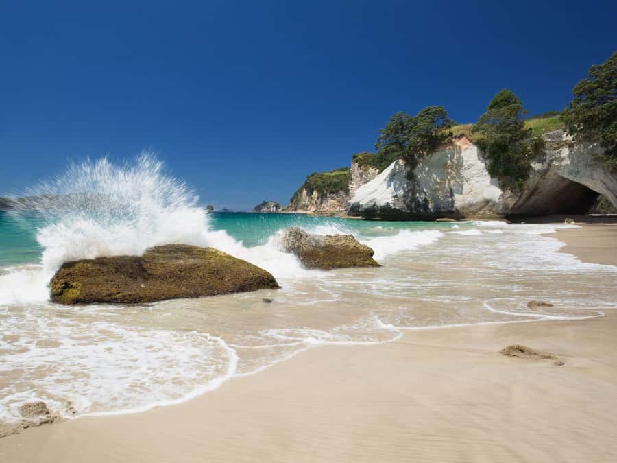 From Auckland: Cathedral Cove & Hot Water Beach Tour - Auckland pickup and the long road south