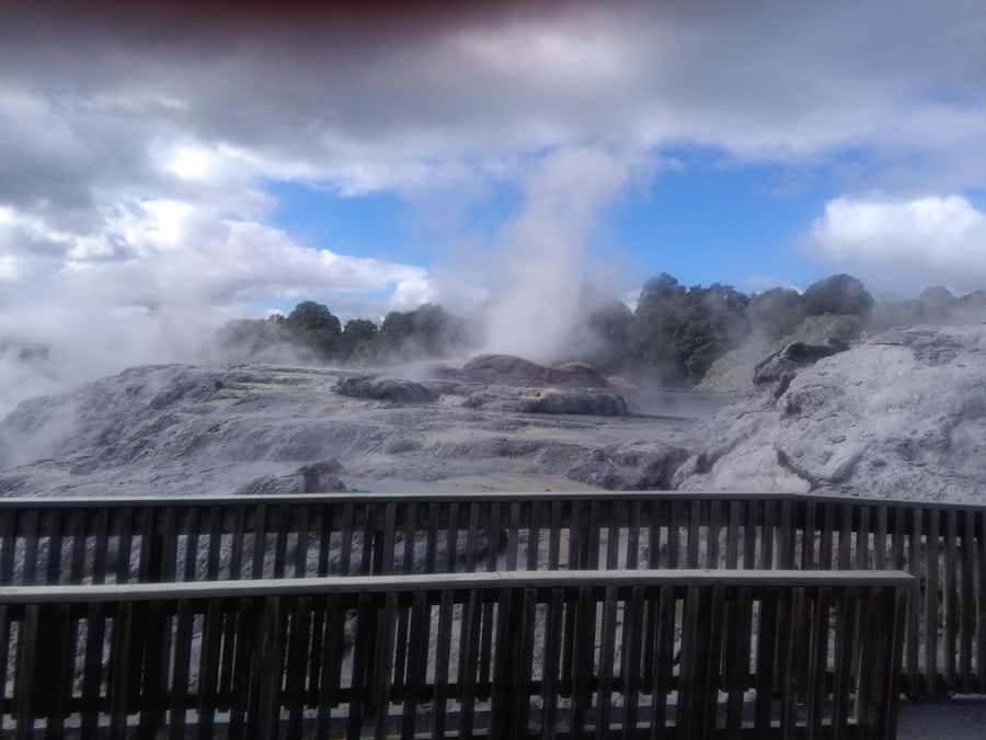 From Auckland: Day Trip to Rotorua with Optional extras - The ride from Auckland in a small group