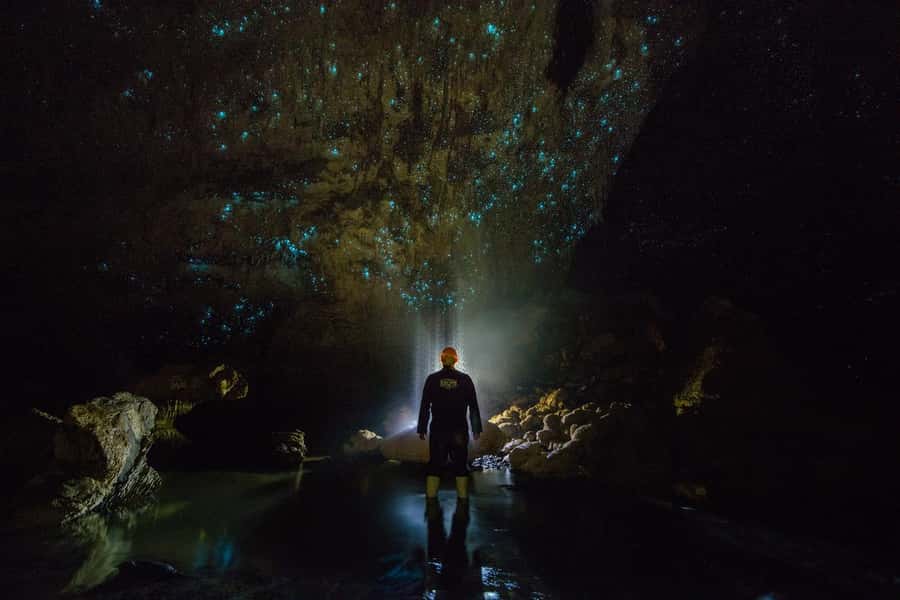 From Auckland: Day Trip to Waitomo Glow Worm Caves - Walking through the cave before the boat
