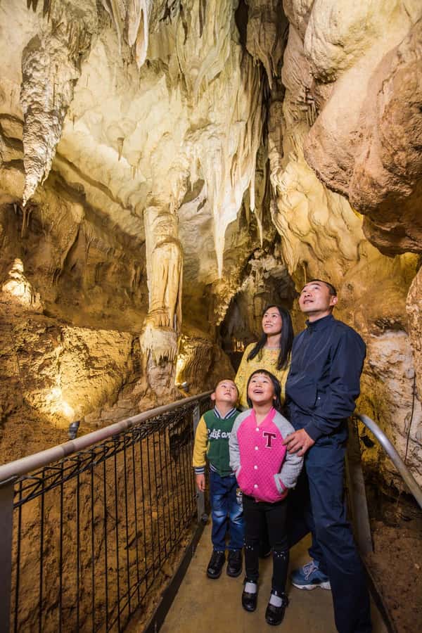 From Auckland: Day Trip to Waitomo Glow Worm Caves - The underground river by flat-bottom boat